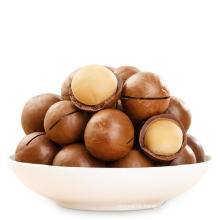 Rich in nutritional value delicious with low price of bulk macadamia nuts